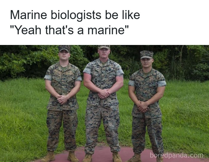 66 Absurd Internet Posts That Somehow Get Weirder The Longer You Look