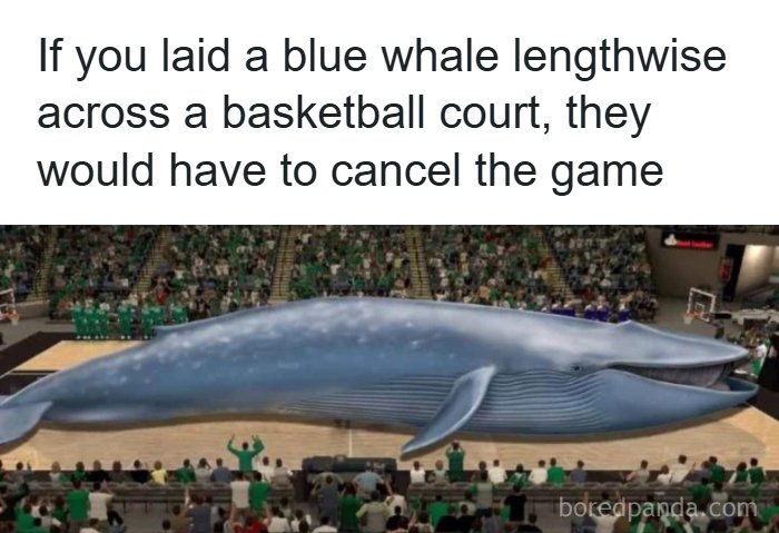 66 Absurd Internet Posts That Somehow Get Weirder The Longer You Look