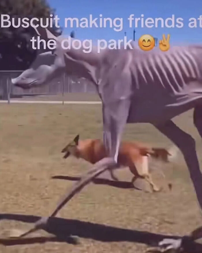 66 Absurd Internet Posts That Somehow Get Weirder The Longer You Look