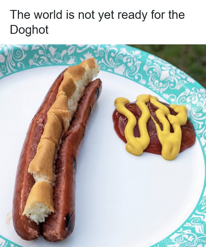 66 Absurd Internet Posts That Somehow Get Weirder The Longer You Look