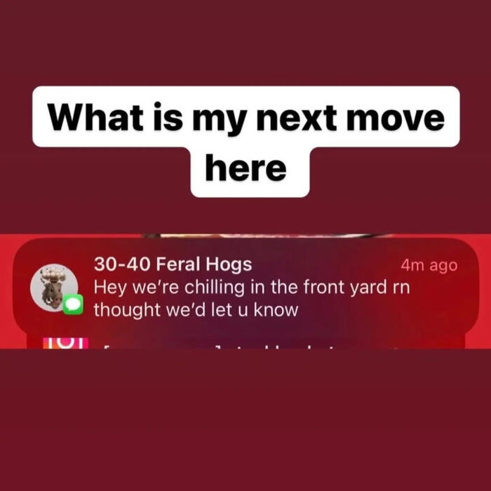 66 Absurd Internet Posts That Somehow Get Weirder The Longer You Look
