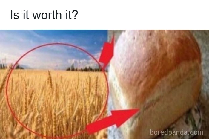 66 Absurd Internet Posts That Somehow Get Weirder The Longer You Look