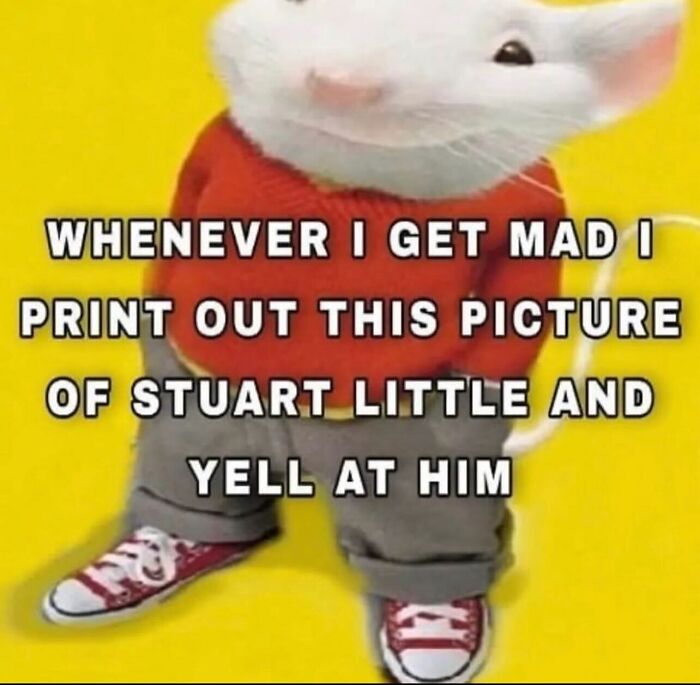 66 Absurd Internet Posts That Somehow Get Weirder The Longer You Look