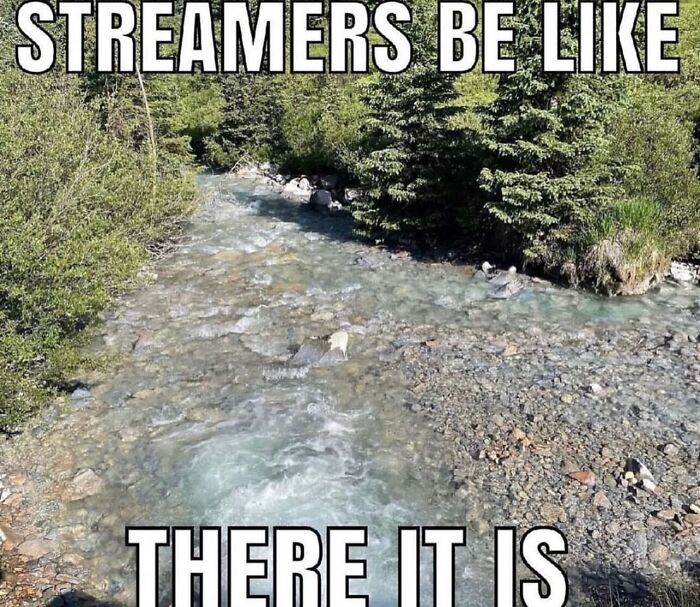 66 Absurd Internet Posts That Somehow Get Weirder The Longer You Look