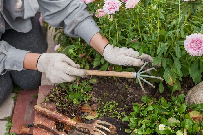 37 Mother-In-Laws Who Brought More Horror Than Halloween Ever Could