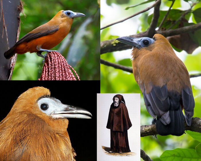 66 Lesser-Known Facts About These Fascinating Animals That Might Make You Want To Know More (New Pics)