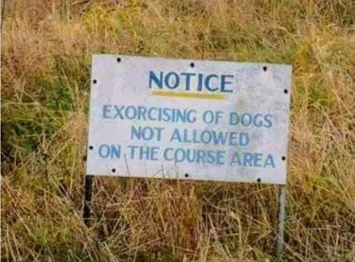 64 Spelling Fails That Changed The Meaning In The Funniest Possible Way