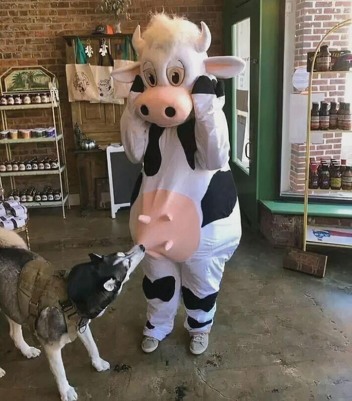 59 Times Halloween Didn&rsquo;t Go As Planned, But At Least The Photos Were Funny