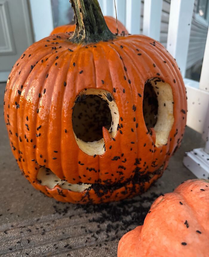 59 Times Halloween Didn&rsquo;t Go As Planned, But At Least The Photos Were Funny