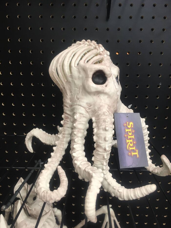 59 Times Halloween Didn&rsquo;t Go As Planned, But At Least The Photos Were Funny