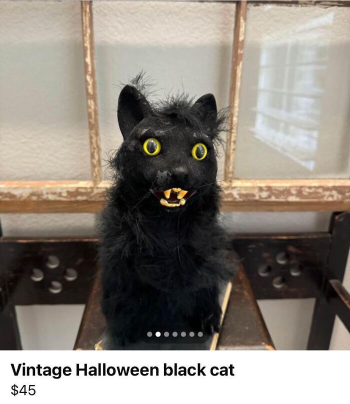 59 Times Halloween Didn&rsquo;t Go As Planned, But At Least The Photos Were Funny