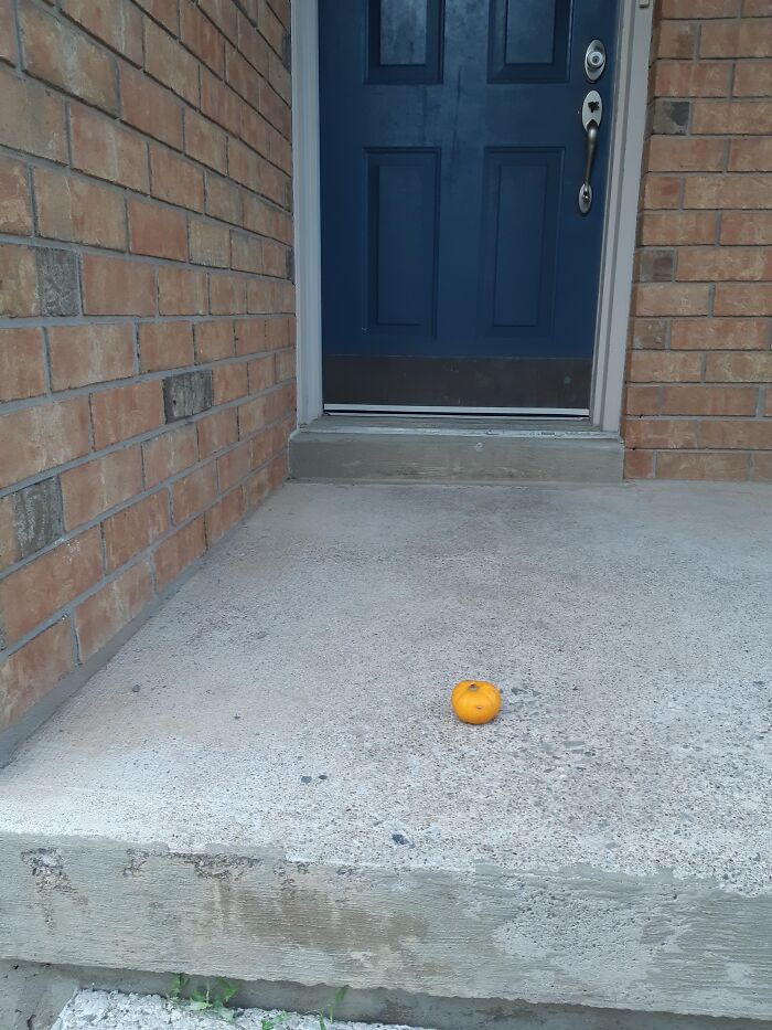 59 Times Halloween Didn&rsquo;t Go As Planned, But At Least The Photos Were Funny
