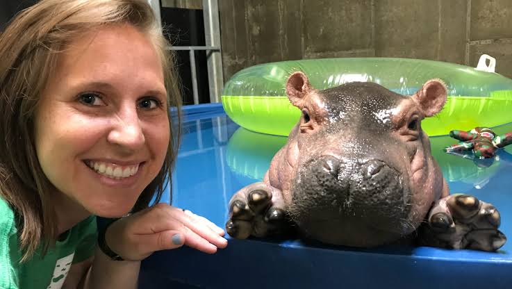 Fiona The Hippo And Her Family Celebrate Halloween Early With A Pumpkin Feast, And Fans Can&rsquo;t Get Enough