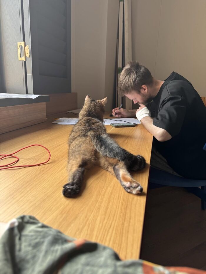 80 Funny Photos Of Pets Chilling In The Weirdest Positions, Shared By Their Owners Online 80 Funny Photos Of Pets Chilling In The Weirdest Positions, Shared By Their Owners Online
