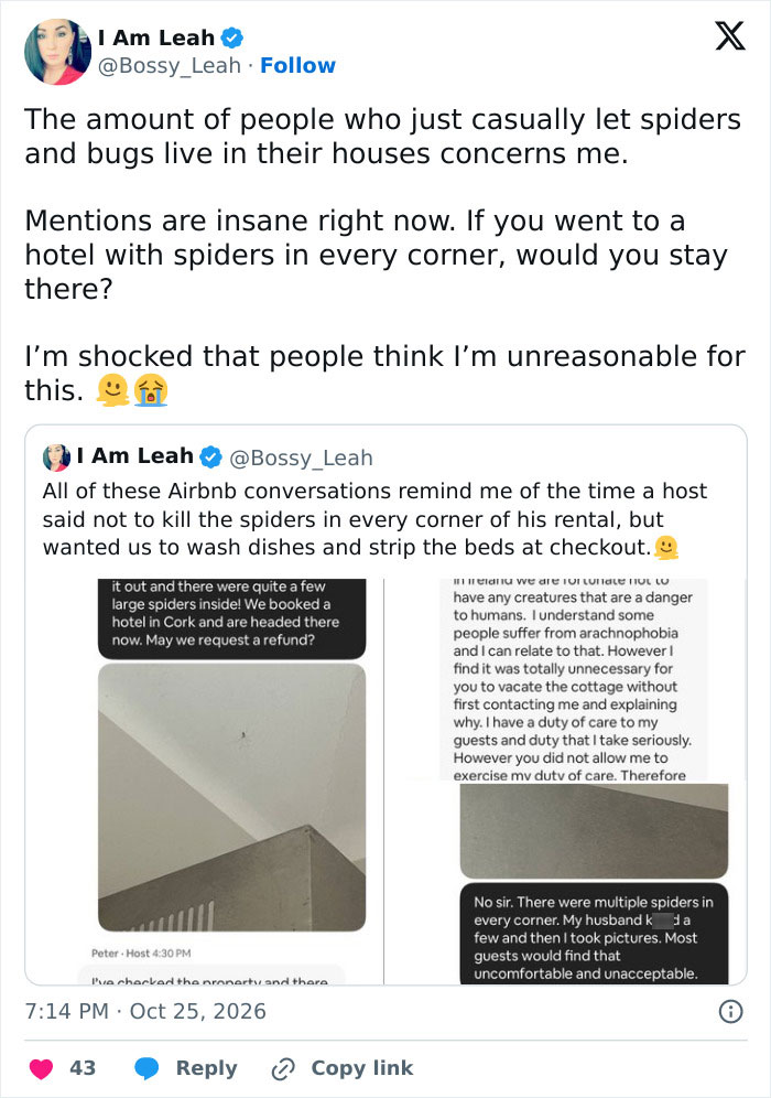 Woman Blasts Airbnb Host After Finding Spiders In Her Rental, But The Internet Turns On Her