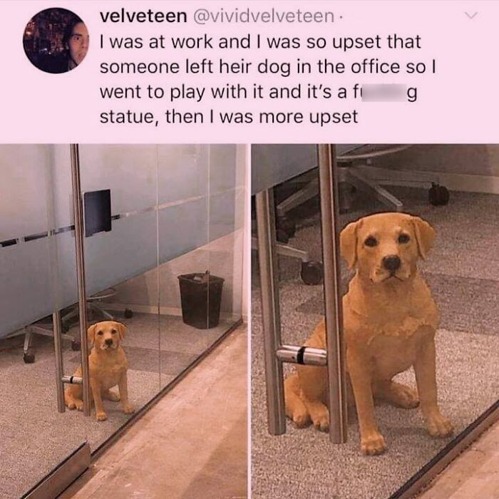 50 Funny Dog Memes Shared By &lsquo;The Hecking Doggos&rsquo; To Make Your Day Better