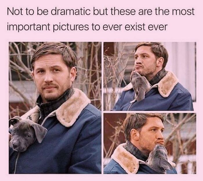 50 Funny Dog Memes Shared By &lsquo;The Hecking Doggos&rsquo; To Make Your Day Better