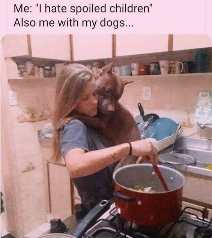 50 Funny Dog Memes Shared By &lsquo;The Hecking Doggos&rsquo; To Make Your Day Better