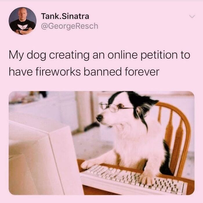 50 Funny Dog Memes Shared By &lsquo;The Hecking Doggos&rsquo; To Make Your Day Better