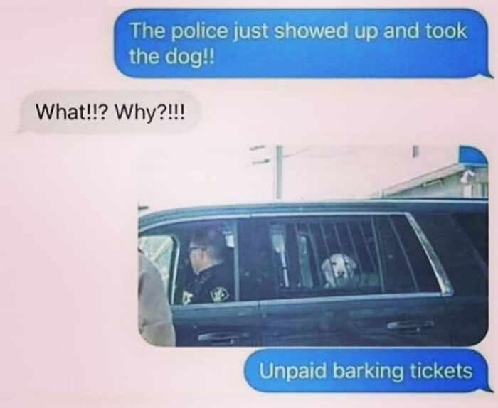 50 Funny Dog Memes Shared By &lsquo;The Hecking Doggos&rsquo; To Make Your Day Better