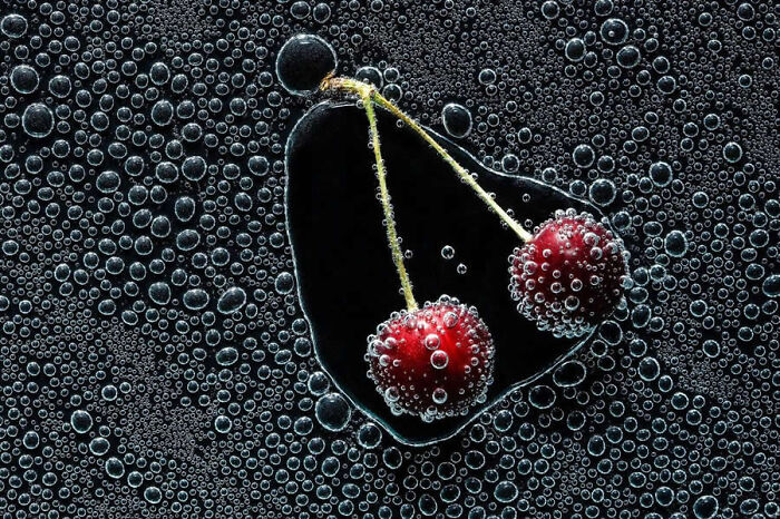 Dragonflies, Ladybugs And Flowers Covered In Dew: 23 Stunning Macro Photos Shared By 35AWARDS Dragonflies, Ladybugs And Flowers Covered In Dew: 23 Stunning Macro Photos Shared By 35AWARDS