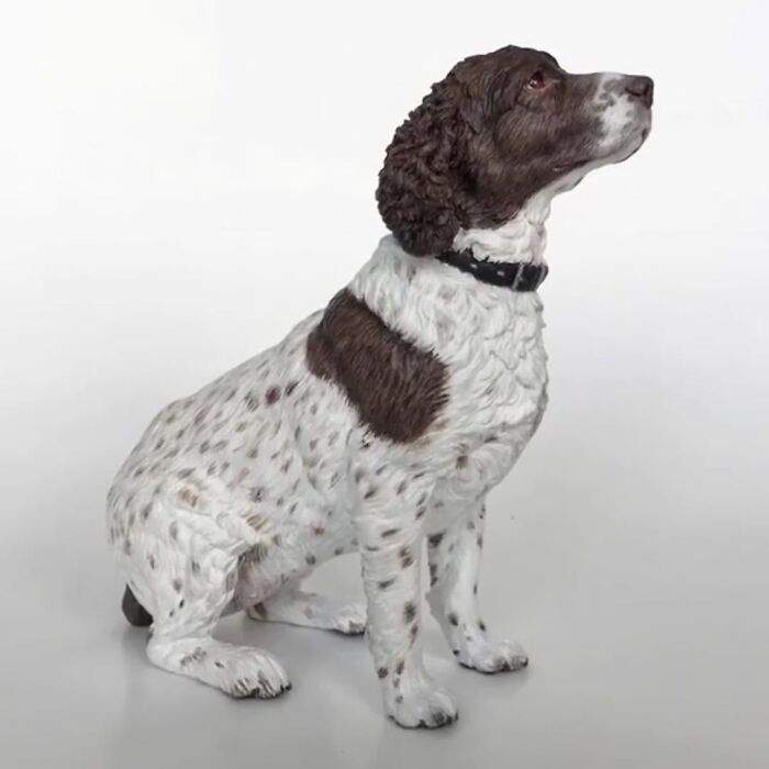 22 New Hyperrealistic Sculptures Of Pets Entirely Handmade By This Artist