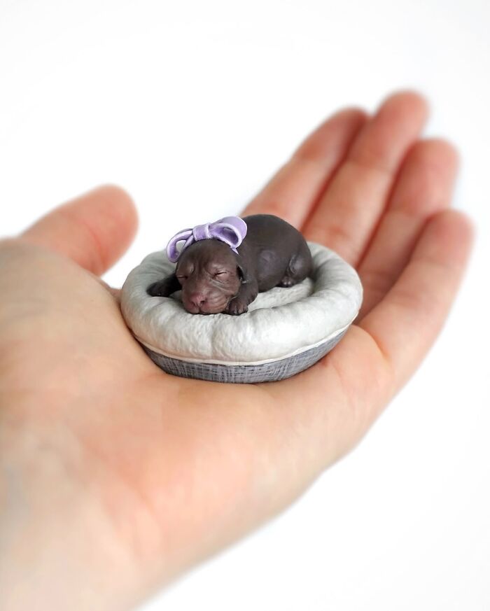 22 New Hyperrealistic Sculptures Of Pets Entirely Handmade By This Artist