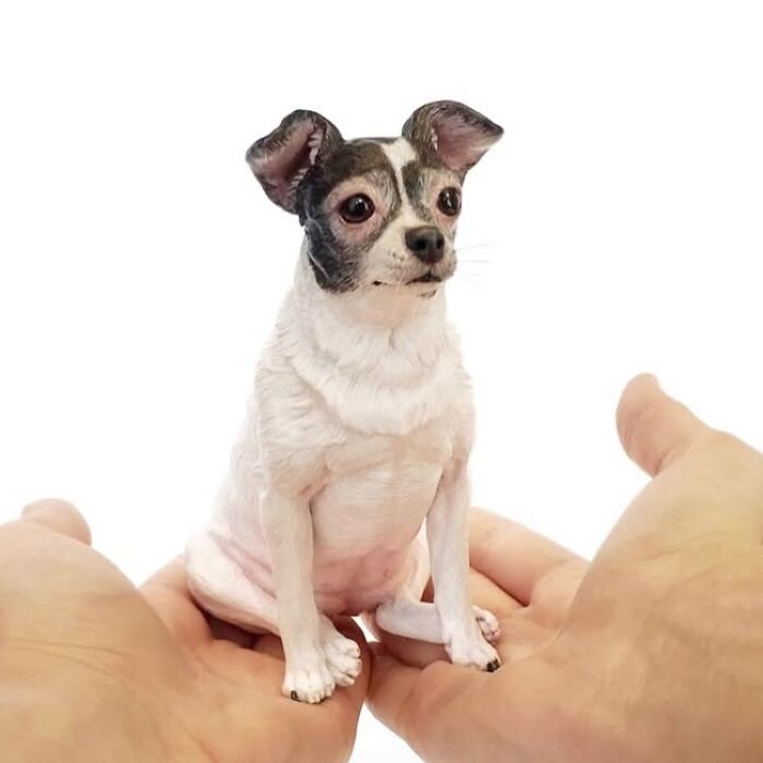 22 New Hyperrealistic Sculptures Of Pets Entirely Handmade By This Artist