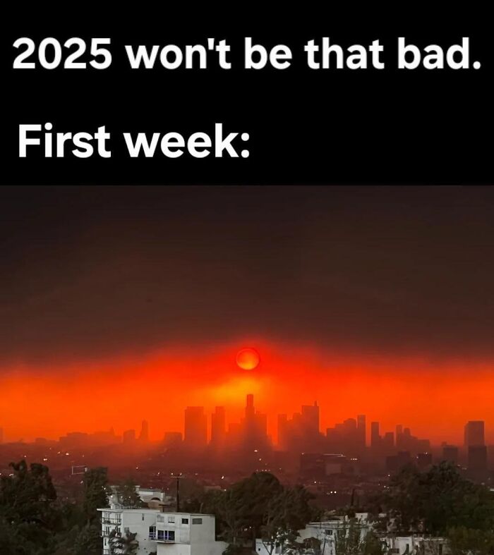 52 Memes That Make Modern Life Feel A Little Too Much Like A Dystopian Novel
