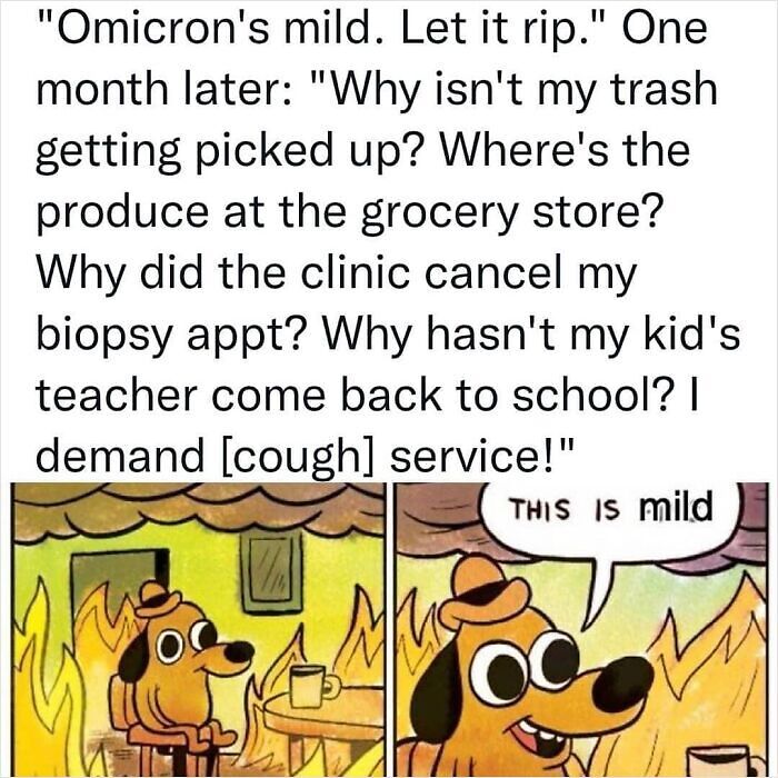 52 Memes That Make Modern Life Feel A Little Too Much Like A Dystopian Novel