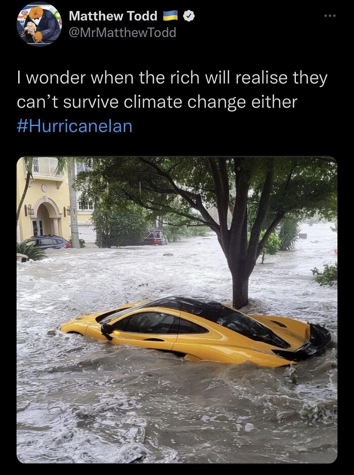 52 Memes That Make Modern Life Feel A Little Too Much Like A Dystopian Novel