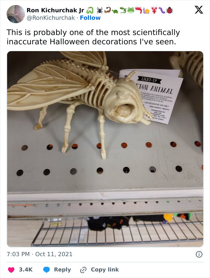 58 Halloween Posts That Prove Spooky Season Is Also One Of The Funniest