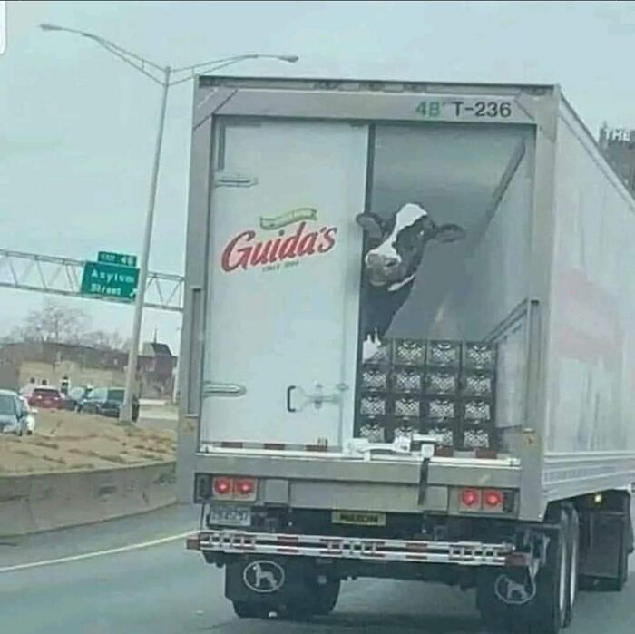 50 Truckers Who Turned Their Vehicles Into Giant Moving Jokes