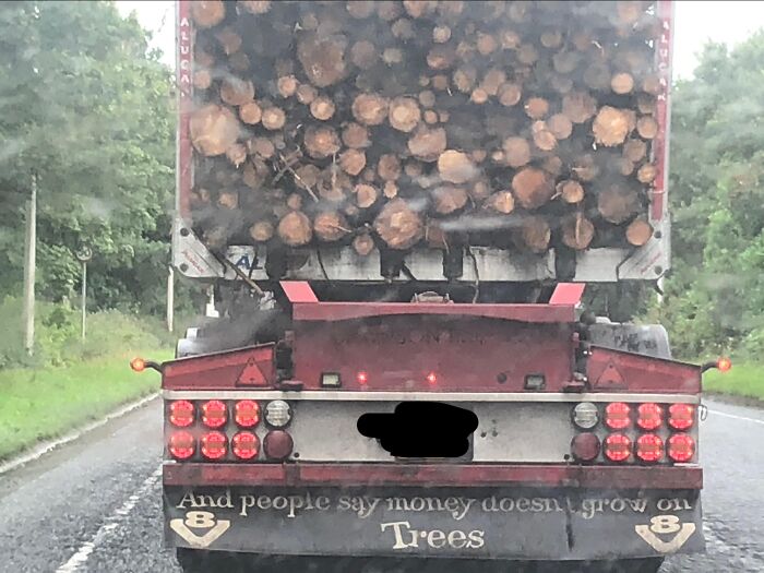 50 Truckers Who Turned Their Vehicles Into Giant Moving Jokes