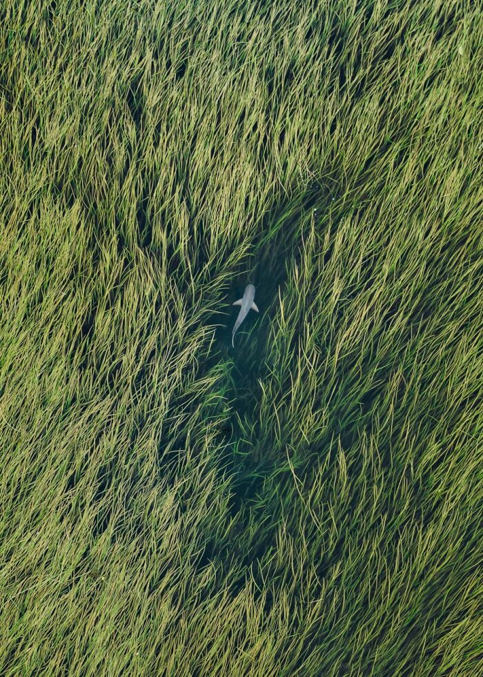 The World Looks Different In These 20 Winning Images From The 2026 Siena Drone Photo Awards The World Looks Different In These 20 Winning Images From The 2026 Siena Drone Photo Awards