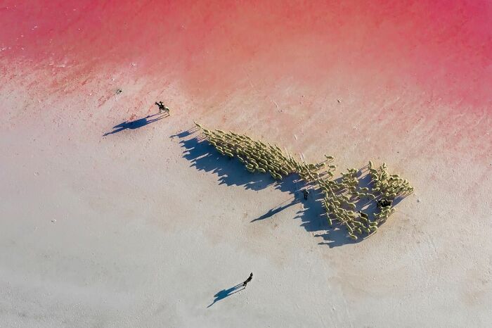 The World Looks Different In These 20 Winning Images From The 2026 Siena Drone Photo Awards The World Looks Different In These 20 Winning Images From The 2026 Siena Drone Photo Awards