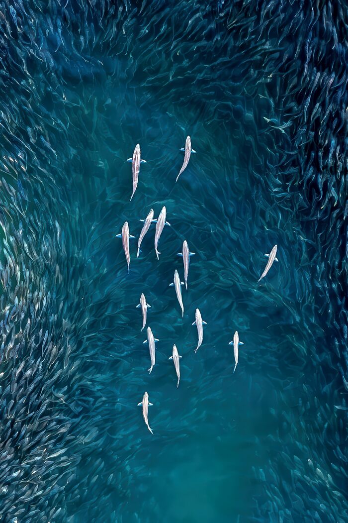 The World Looks Different In These 20 Winning Images From The 2026 Siena Drone Photo Awards The World Looks Different In These 20 Winning Images From The 2026 Siena Drone Photo Awards