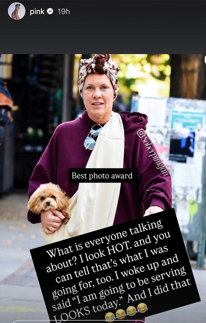 Pink Cheekily Claps Back After Viral Makeup-Free Photo Invited Cruel Comments
