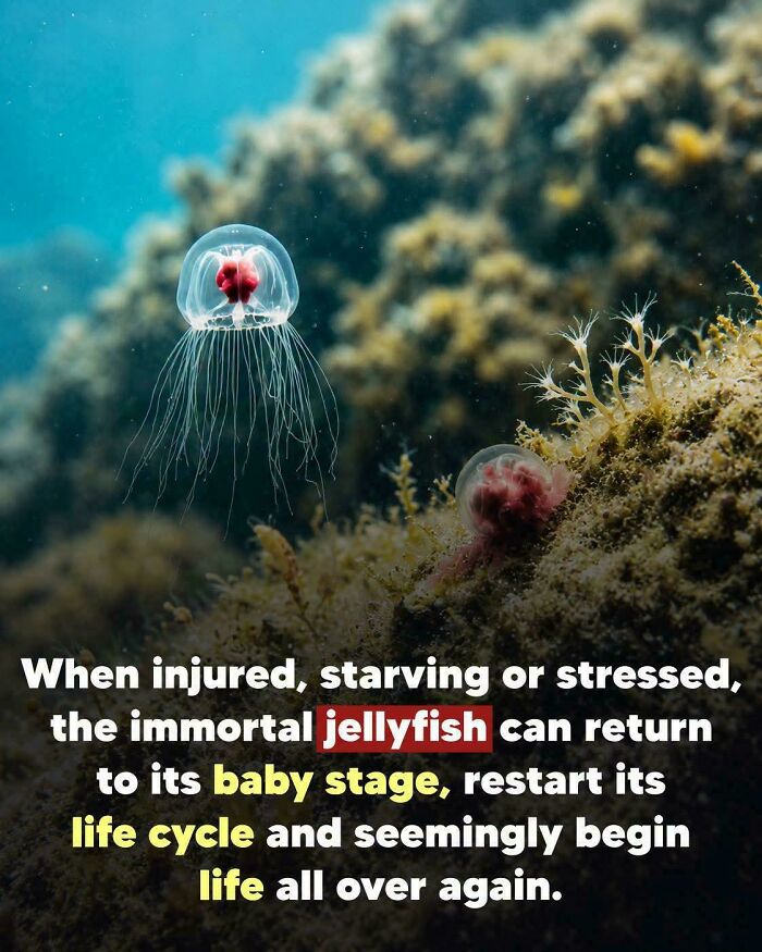 83 Wholesome Photos And Stories That Might Make You Appreciate The Internet Again (New Pics)