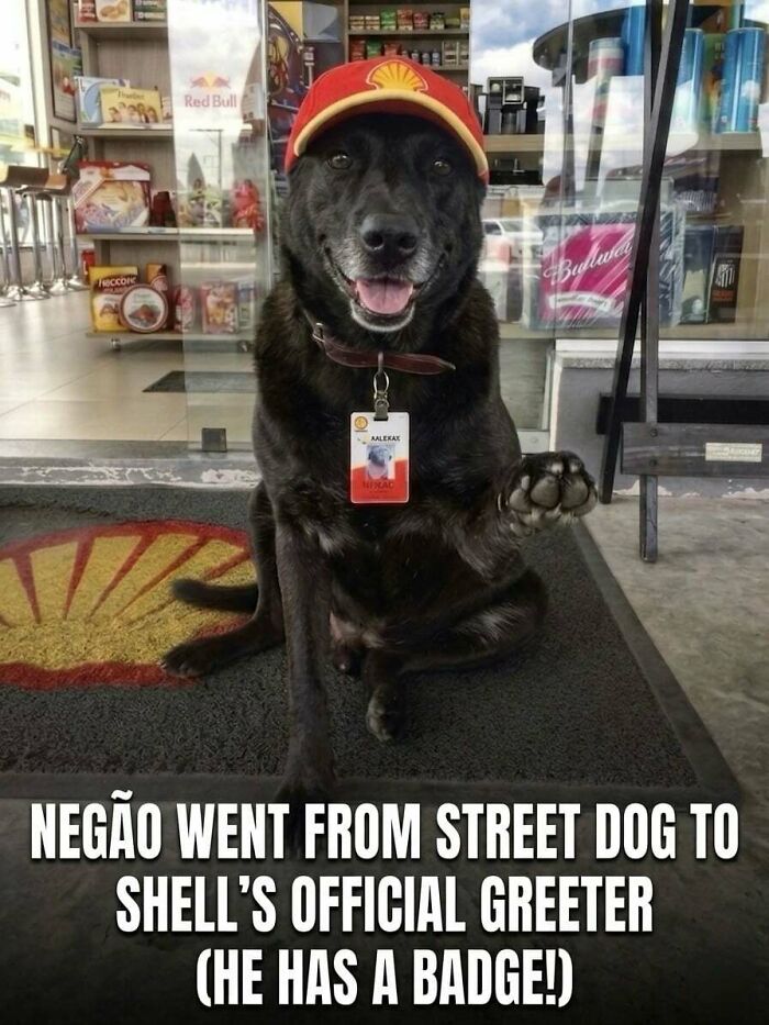 83 Wholesome Photos And Stories That Might Make You Appreciate The Internet Again (New Pics)