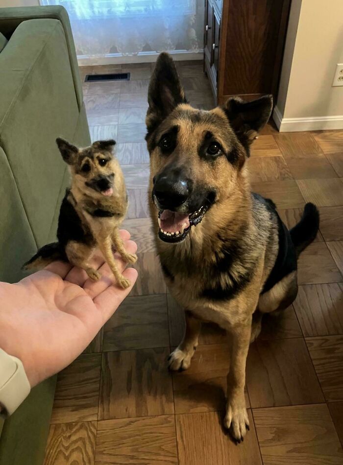 83 Wholesome Photos And Stories That Might Make You Appreciate The Internet Again (New Pics)