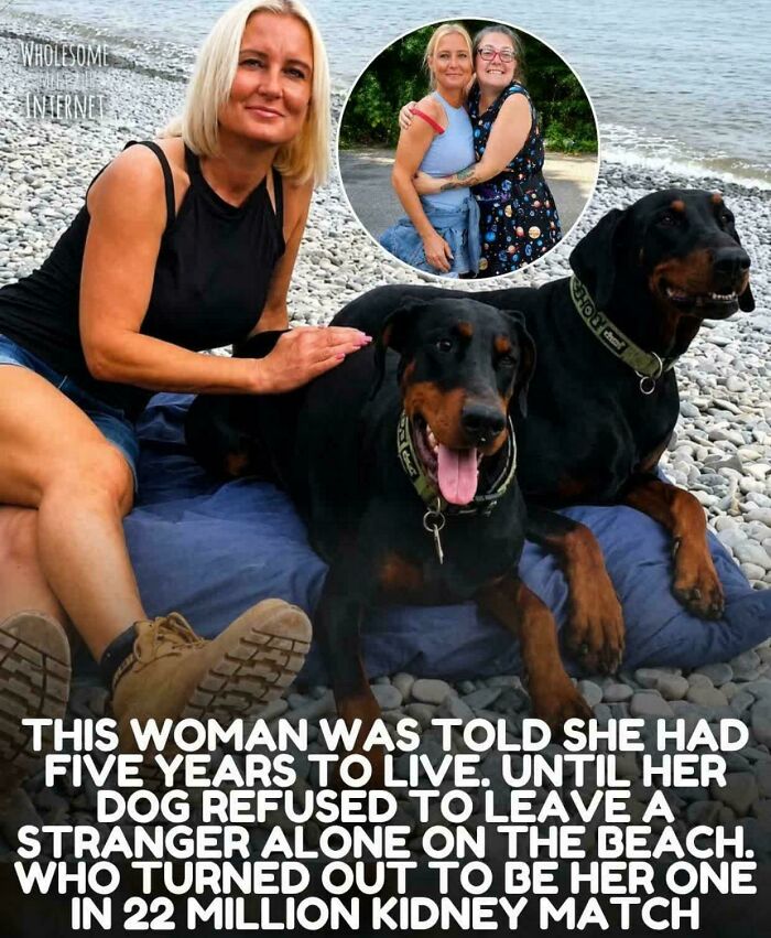 83 Wholesome Photos And Stories That Might Make You Appreciate The Internet Again (New Pics)
