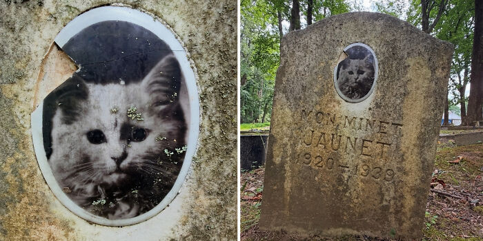 83 Wholesome Photos And Stories That Might Make You Appreciate The Internet Again (New Pics)