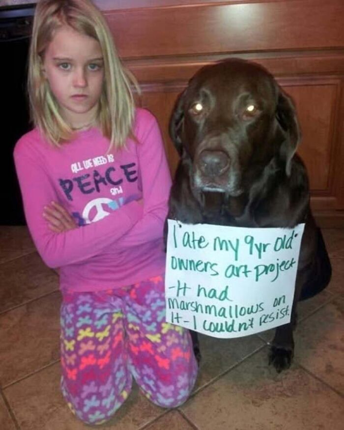 This Page Shares Hilarious And Heartwarming Dog Memes That Are Impossible Not To Smile At (30 Pics)