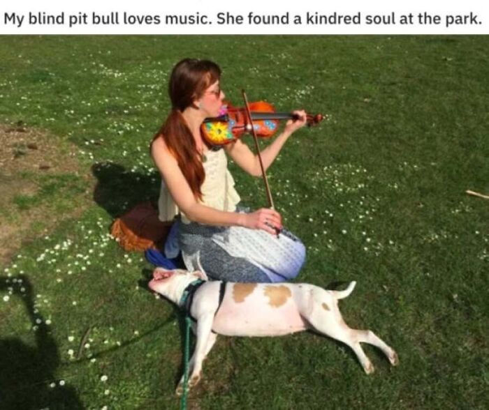 This Page Shares Hilarious And Heartwarming Dog Memes That Are Impossible Not To Smile At (30 Pics)