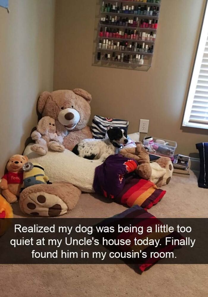 This Page Shares Hilarious And Heartwarming Dog Memes That Are Impossible Not To Smile At (30 Pics)