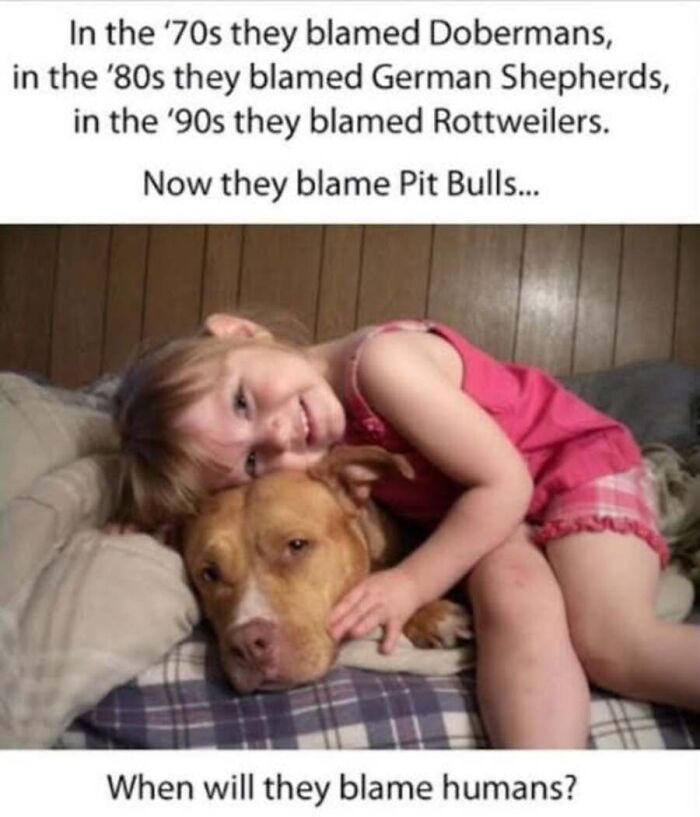This Page Shares Hilarious And Heartwarming Dog Memes That Are Impossible Not To Smile At (30 Pics)