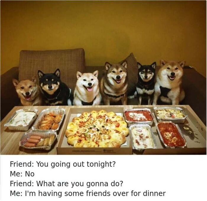 This Page Shares Hilarious And Heartwarming Dog Memes That Are Impossible Not To Smile At (30 Pics)