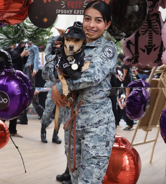 Chihuahua Joins Mexico&rsquo;s National Guard After His Elderly Owners Can No Longer Care For Him