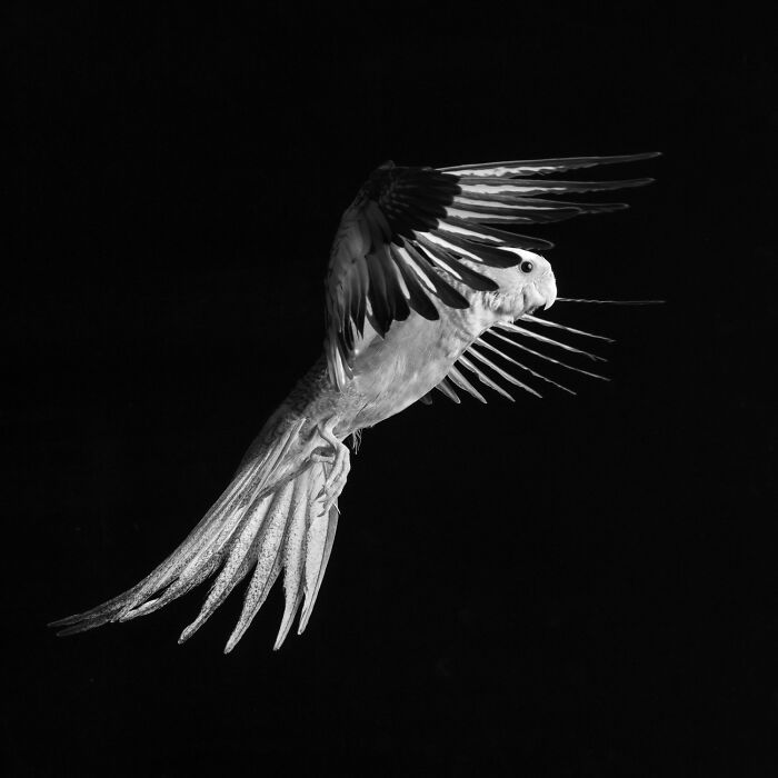 38 Award-Winning Black-And-White Photos From The 2026 Exposure One Awards 38 Award-Winning Black-And-White Photos From The 2026 Exposure One Awards